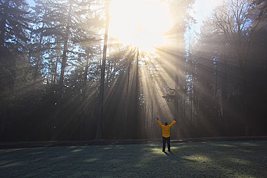 一个人,手臂,太阳,晨雾,树,快乐谷,俄勒冈,美国