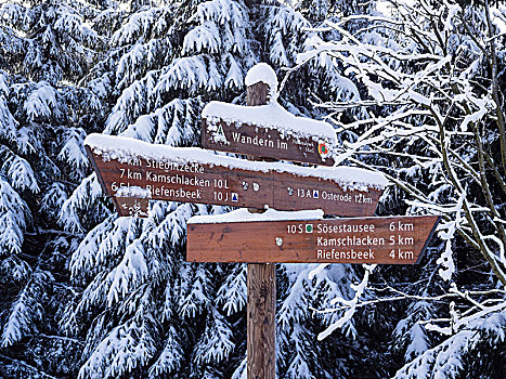冬季风景,路标,展示,方向,越野滑雪,区域,靠近,哈尔茨山,山脉,下萨克森,德国