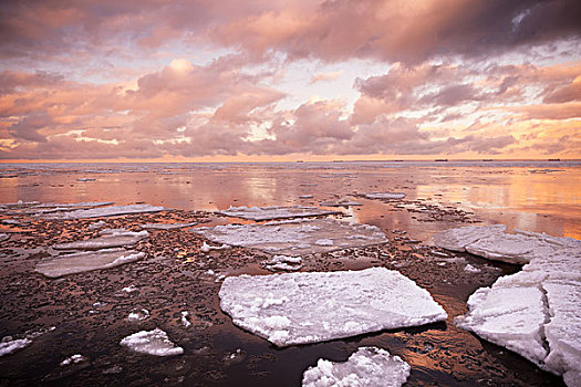 冬天,海边风景,漂浮,冰,碎片,安静,海水,红色,阴天,反射,海湾,芬兰,俄罗斯
