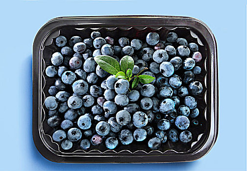蓝莓,碗,装饰,叶子
