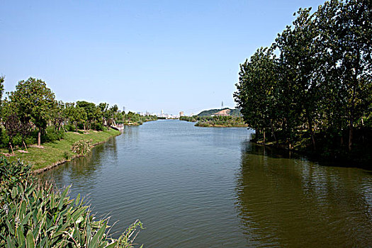 白马湖湿地