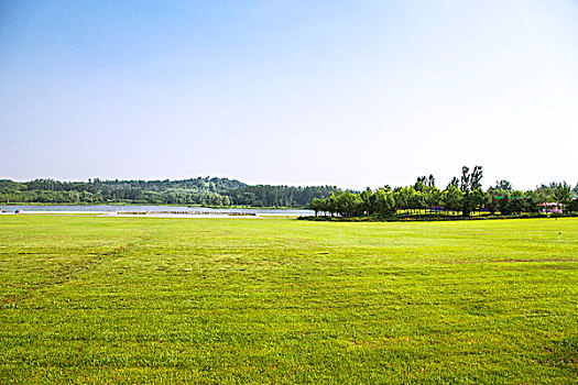 高尔夫球场的草坪
