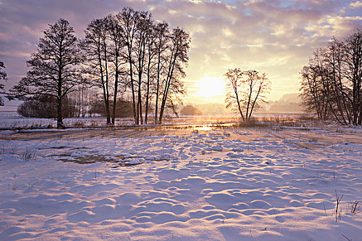 风景,日出,早晨,冬天,普拉蒂纳特,巴伐利亚,德国