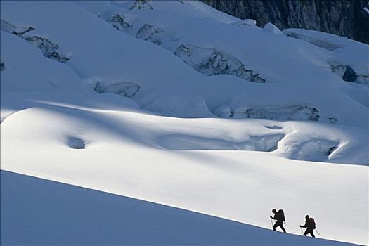 越野滑雪,阿拉斯加山脉,室内,德纳里峰,公园,冬天,景色