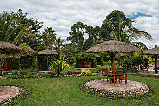 花园,乌干达,非洲
