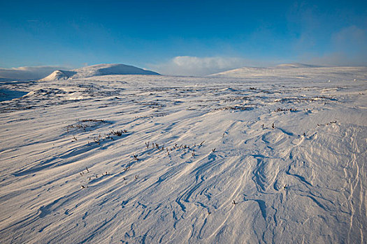 冬天,雪景,国家公园,挪威,欧洲