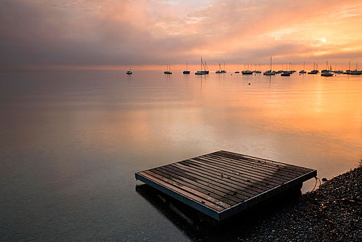 早晨,康士坦茨湖,靠近,瑞士,欧洲