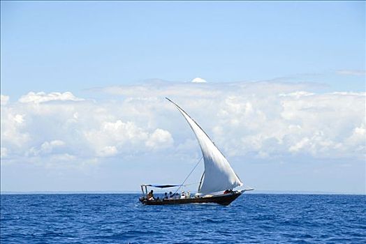 传统,帆船,靠近,印度洋,桑给巴尔岛,坦桑尼亚