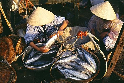 鱼市,岘港,越南