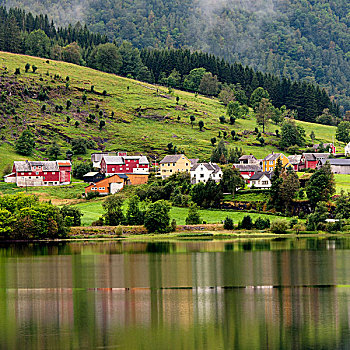 彩色,房子,山,水,霍达兰,挪威