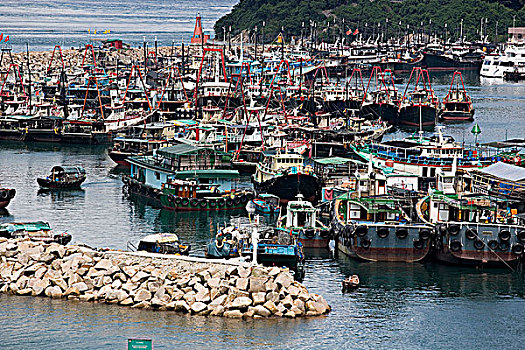 渔船,锚定,蔽护,香港