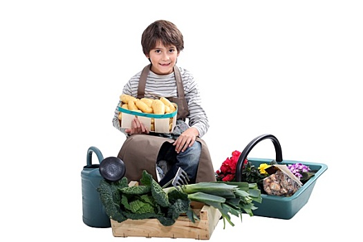 小男孩,采集,新鲜,蔬菜,花园