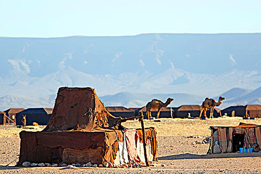 摩洛哥,德拉河谷,骆驼,露营