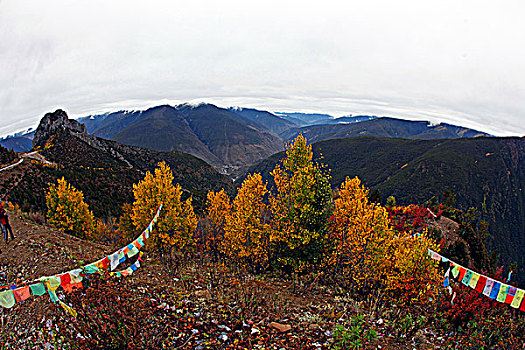 四川稻城风景