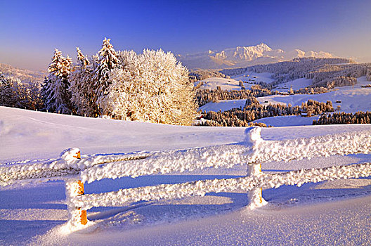 阿彭策尔,冬季风景,夜光,风景,栅栏,白霜,前景,瑞士,欧洲