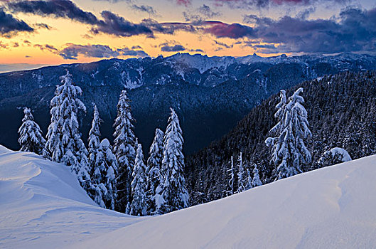 冬天,日落,攀升,省立公园,北温哥华,不列颠哥伦比亚省,加拿大
