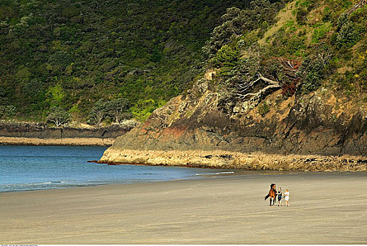 海滩,怀希基岛,新西兰