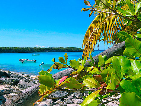 风景,卡塔琳娜,岛屿,多米尼加共和国