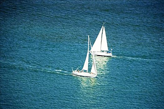 俯拍,两个,帆船,圣地亚哥湾,圣地亚哥,加利福尼亚,美国