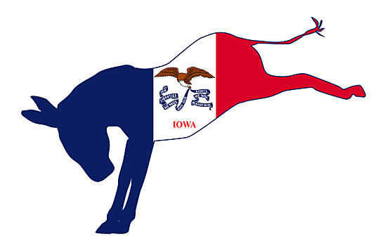 爱荷华,民主党,驴,旗帜