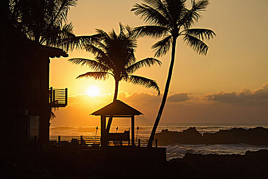 海滨别墅,棕榈树,日落,夏威夷,美国