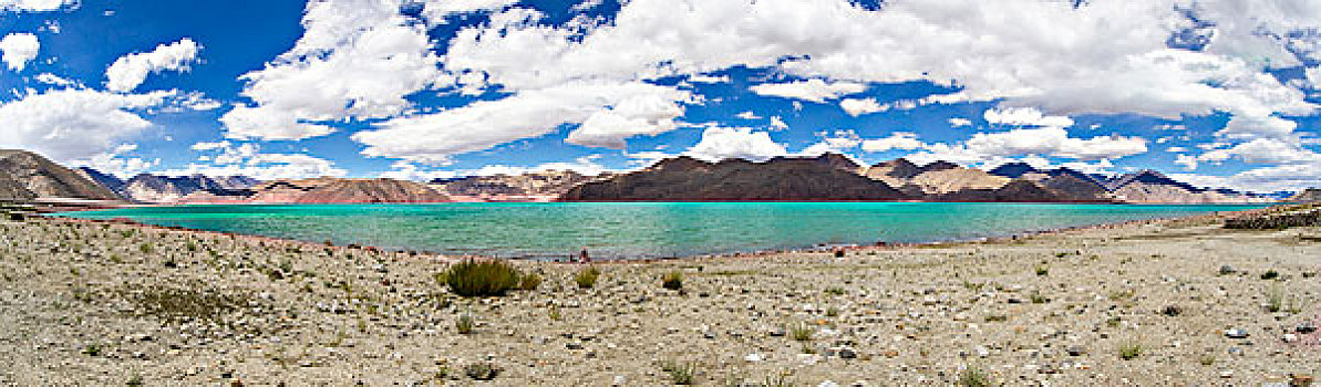 湖,拉达克,印度,全景