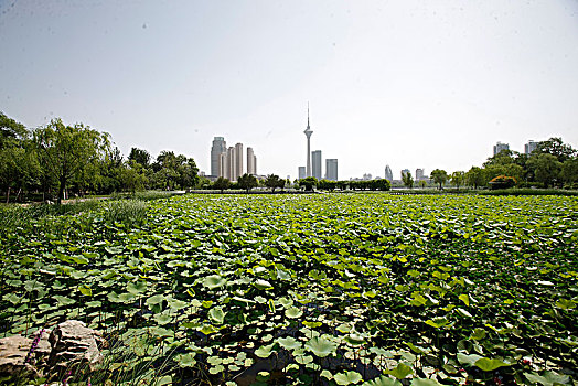 天津水上公园