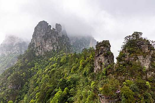 广西金秀圣堂山南山丹霞险峰雾海景观