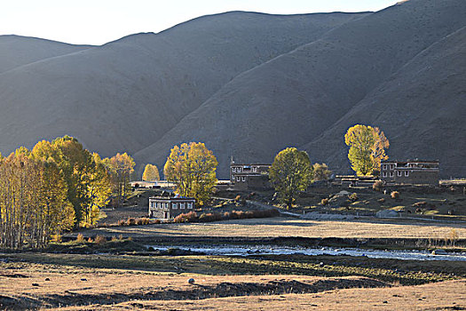 新都桥高尔寺山