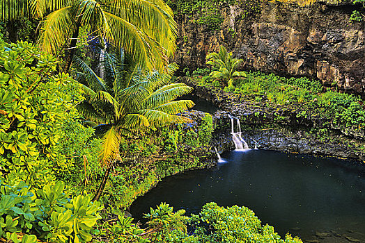 俯拍,瀑布,海岸,毛伊岛,夏威夷,美国