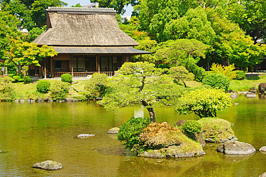 传统,日本,老,房子