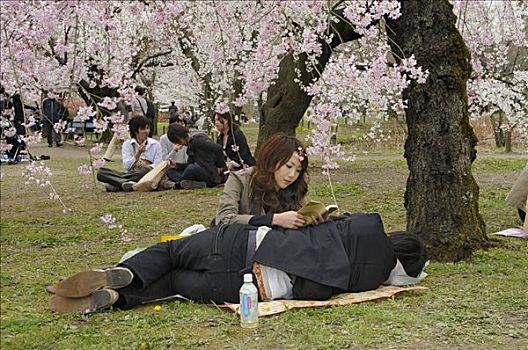 年轻,情侣,花,樱桃树,庆贺,植物园,京都,日本,亚洲