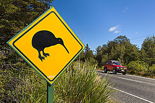 几维鸟,标识,路边,靠近,旅游,城镇,罗托鲁瓦,北岛,新西兰