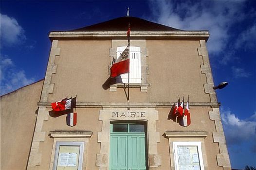 法国,卢瓦尔河地区,市政厅,旗帜