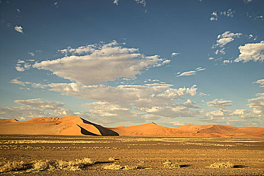 巨大,沙丘,纳米布沙漠