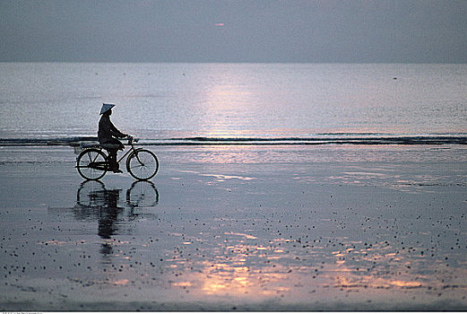 人,骑,自行车,海滩,日落,马来西亚