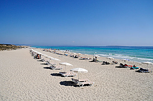 沙滩椅,伞,空,海滩,地中海,福门特拉岛,巴利阿里群岛,西班牙,欧洲
