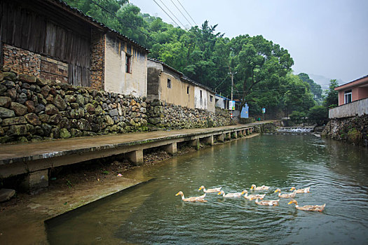 小溪,老房子,山泉,流水