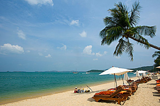 海滩,苏梅岛,岛屿,泰国,亚洲