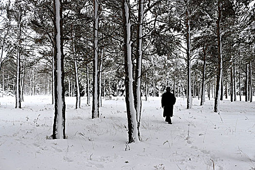 男人,雪地