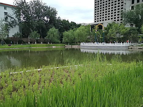 北京石海子公园河边天门