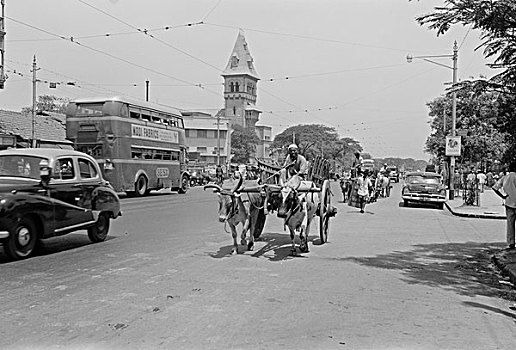 印度,孟买,街景,展示,手推车,大道