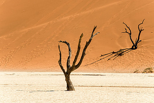 死亡谷,索苏维来地区,纳米比亚