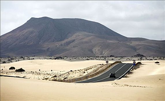 一个,汽车,街上,沙丘,风景,靠近,科拉莱霍,富埃特文图拉岛,西班牙