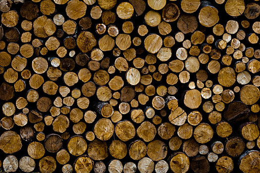 木柴,堆积,一堆,户外