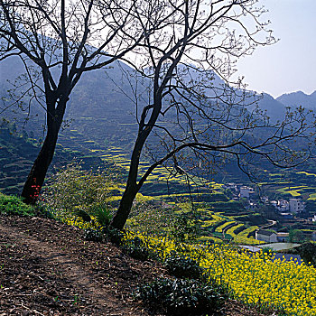 春天清凉峰山下的村庄