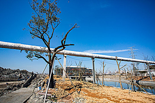 宁波,管道,热电厂,管线,输送,连接,户外