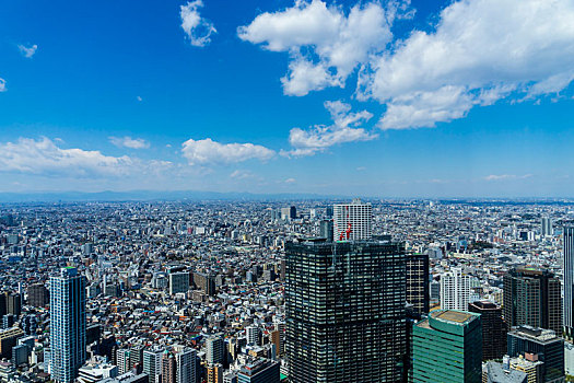 日本东京都厅视角俯瞰城市风貌