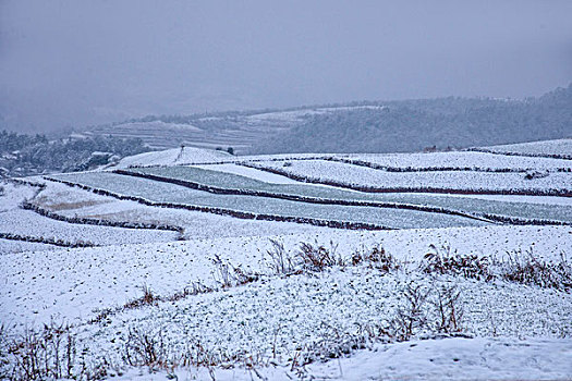 云南东川红土地雪原