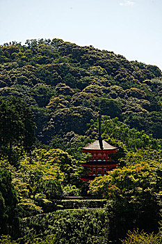 日本,京都,塔